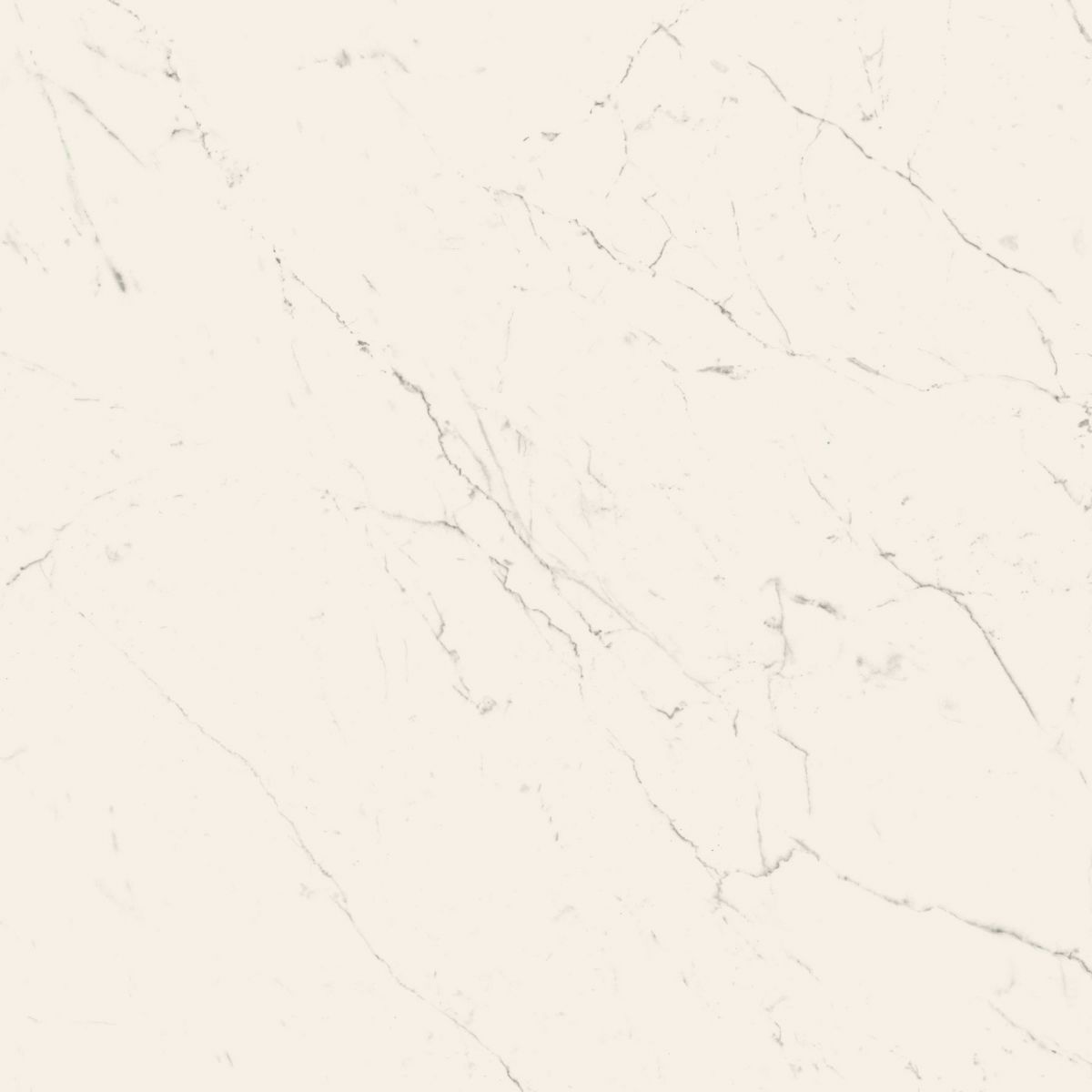 Carrara Gioia 787x1787 honed