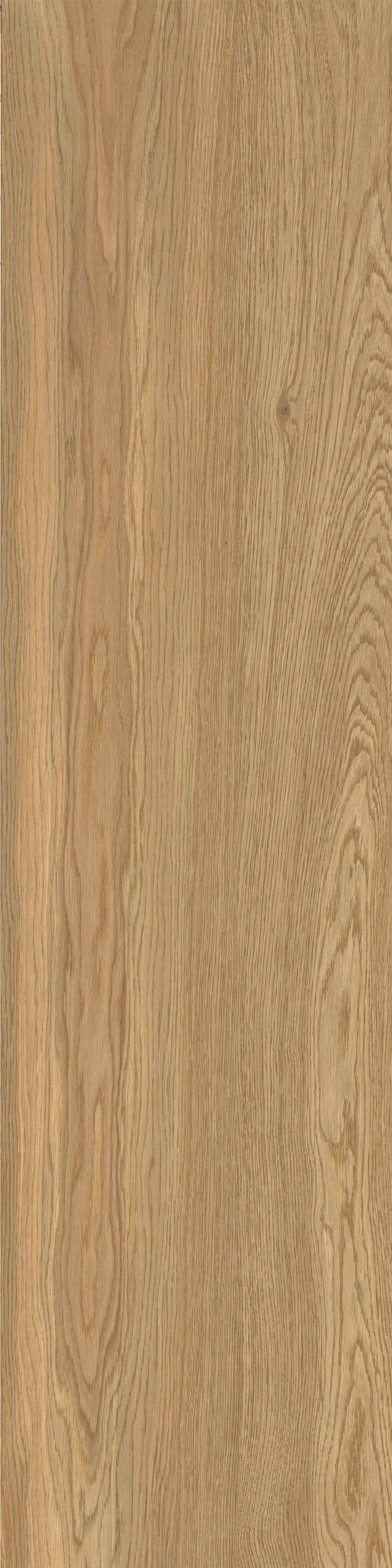 Auburn 120х280 Matt