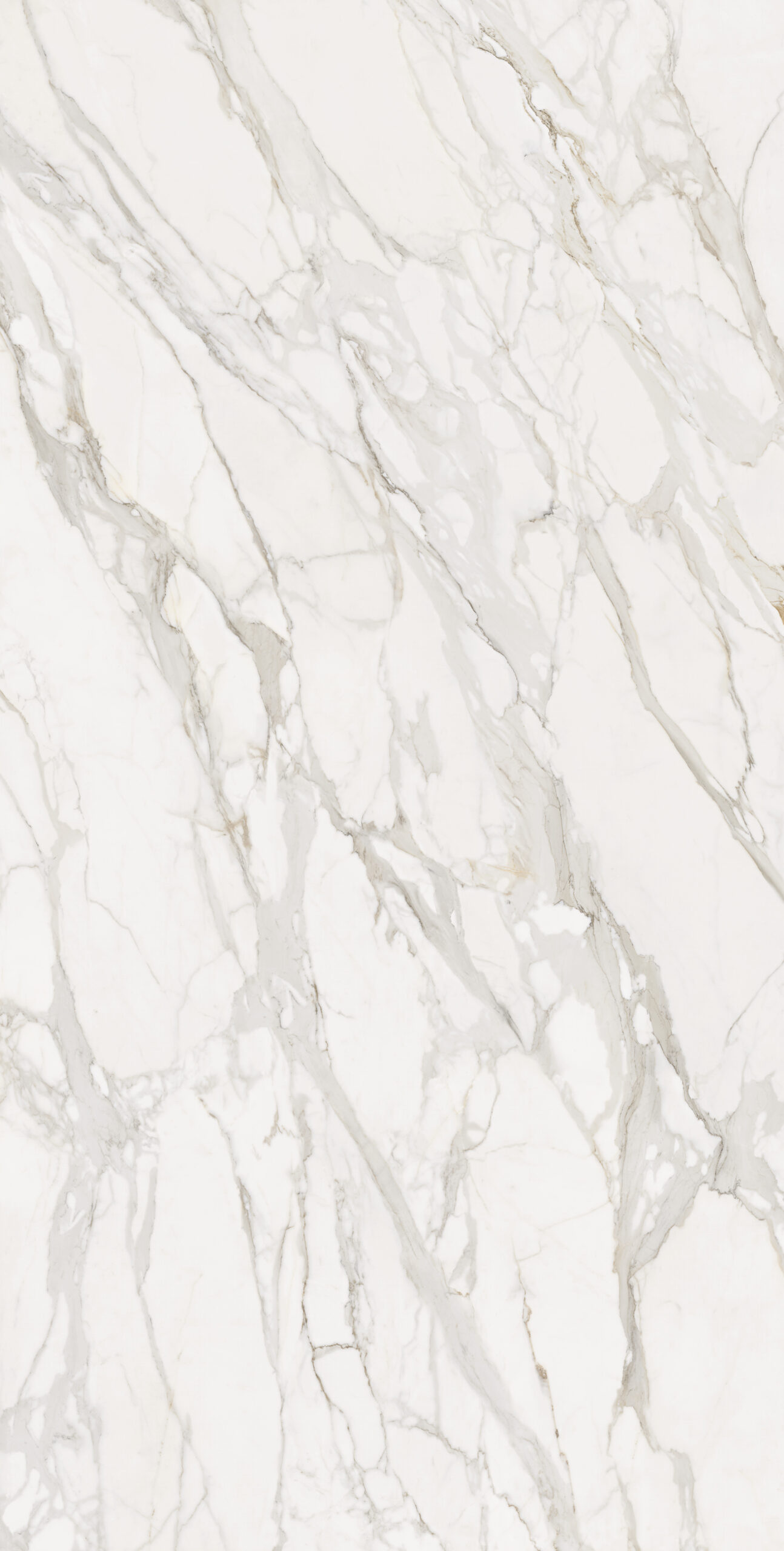 CALACATTA SPLENDIDO 160x320 Non rettificato – Silk 12mm